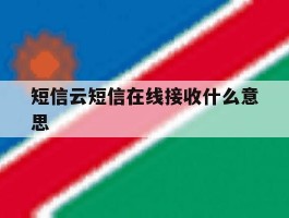 短信云短信在线接收什么意思