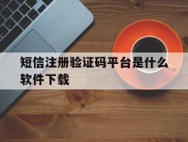 短信注册验证码平台是什么软件下载