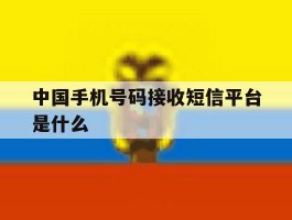 中国手机号码接收短信平台是什么