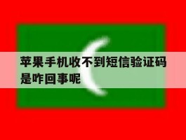 苹果手机收不到短信验证码是咋回事呢