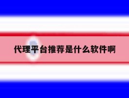 代理平台推荐是什么软件啊