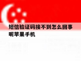 短信验证码接不到怎么回事呢苹果手机