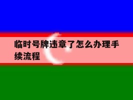 临时号牌违章了怎么办理手续流程