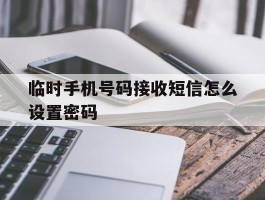 临时手机号码接收短信怎么设置密码