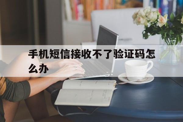 手机短信接收不了验证码怎么办 手机短信接收不了验证码怎么办