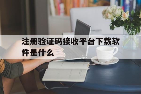 注册验证码接收平台下载软件是什么