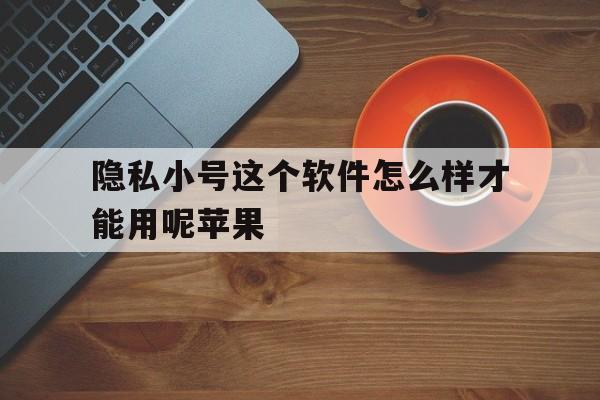 隐私小号这个软件怎么样才能用呢苹果 隐私小号这个软件怎么样才能用呢苹果
