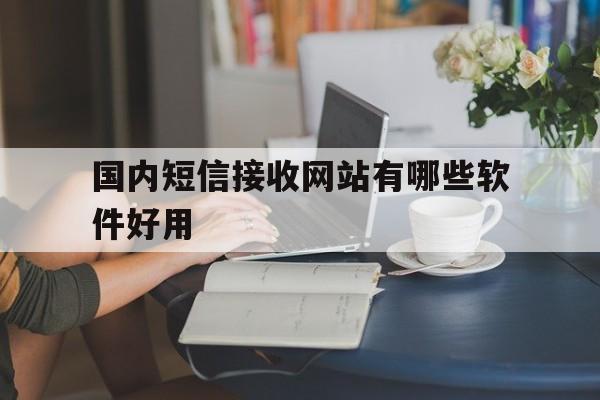 国内短信接收网站有哪些软件好用 国内短信接收网站有哪些软件好用
