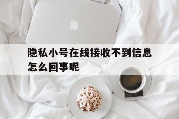 隐私小号在线接收不到信息怎么回事呢 隐私小号在线接收不到信息怎么回事呢