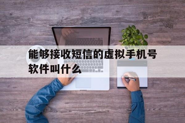 能够接收短信的虚拟手机号软件叫什么 能够接收短信的虚拟手机号软件叫什么