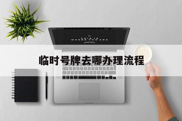 临时号牌去哪办理流程 临时号牌去哪办理流程