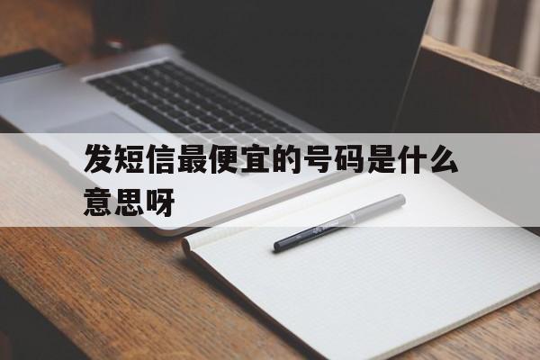 发短信最便宜的号码是什么意思呀 发短信最便宜的号码是什么意思呀
