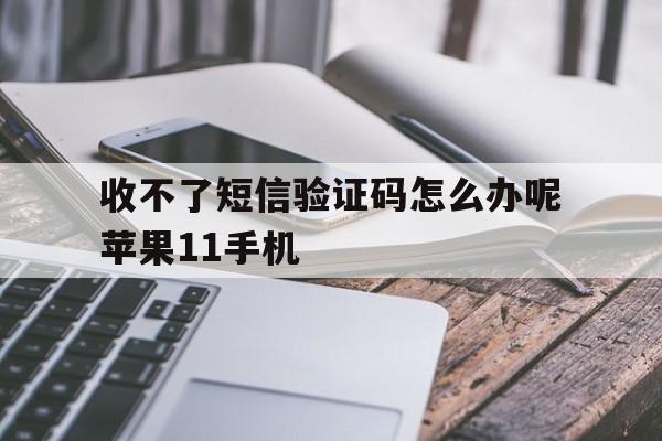 收不了短信验证码怎么办呢苹果11手机 收不了短信验证码怎么办呢苹果11手机