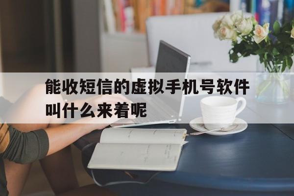关于能收短信的虚拟手机号软件叫什么来着呢的信息 关于能收短信的虚拟手机号软件叫什么来着呢的信息