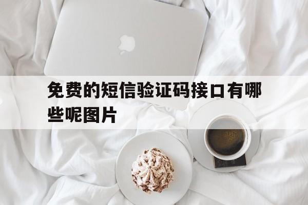 免费的短信验证码接口有哪些呢图片 免费的短信验证码接口有哪些呢图片
