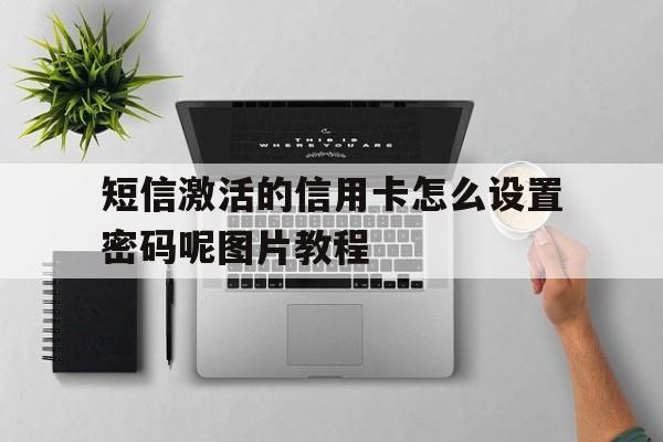短信激活的信用卡怎么设置密码呢图片教程的简单介绍 短信激活的信用卡怎么设置密码呢图片教程的简单介绍