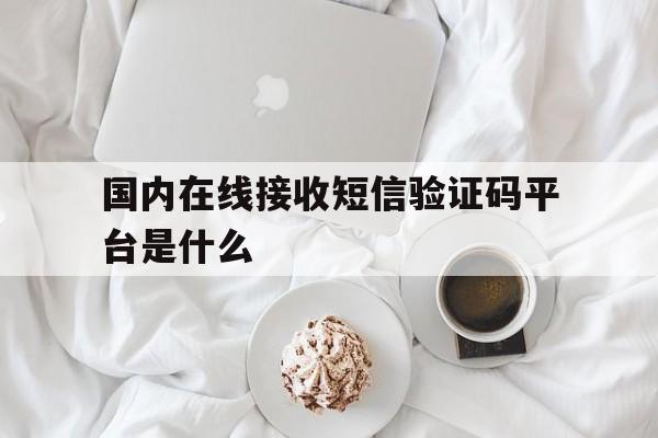 国内在线接收短信验证码平台是什么 国内在线接收短信验证码平台是什么