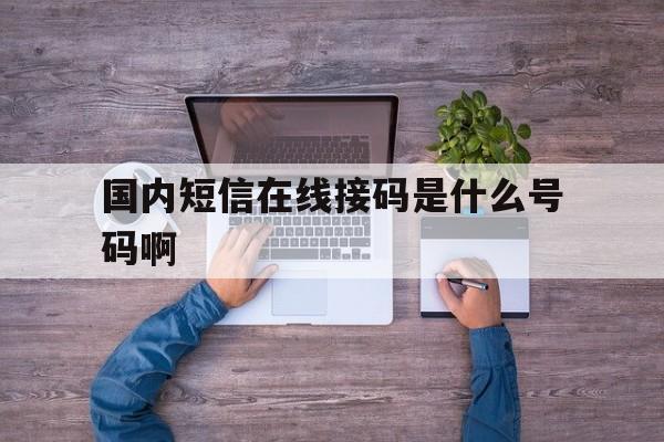 国内短信在线接码是什么号码啊 国内短信在线接码是什么号码啊