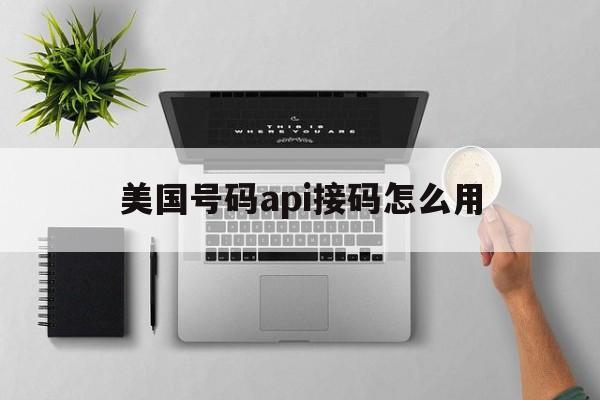 美国号码api接码怎么用 美国号码api接码怎么用
