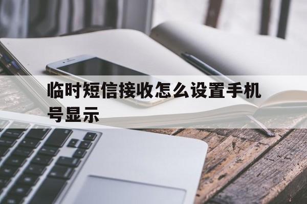 临时短信接收怎么设置手机号显示 临时短信接收怎么设置手机号显示