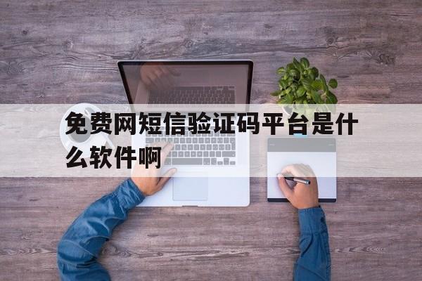 免费网短信验证码平台是什么软件啊 免费网短信验证码平台是什么软件啊