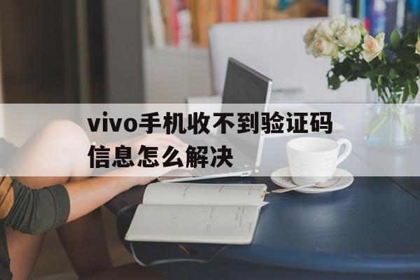vivo手机收不到验证码信息怎么解决 vivo手机收不到验证码信息怎么解决
