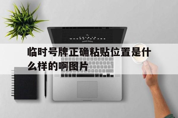 临时号牌正确粘贴位置是什么样的啊图片 临时号牌正确粘贴位置是什么样的啊图片