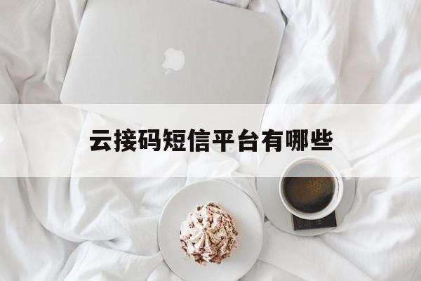 云接码短信平台有哪些 云接码短信平台有哪些