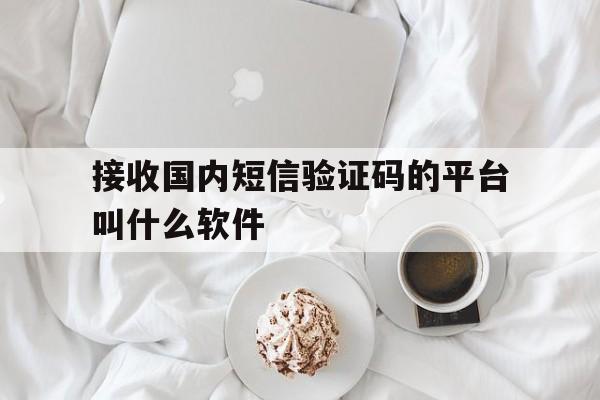 接收国内短信验证码的平台叫什么软件 接收国内短信验证码的平台叫什么软件