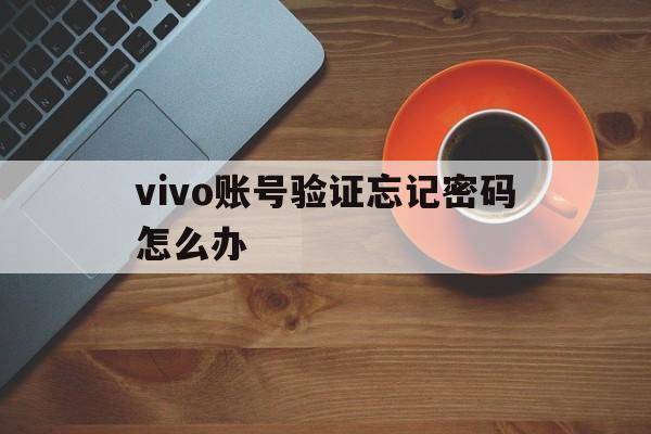vivo账号验证忘记密码怎么办 vivo账号验证忘记密码怎么办