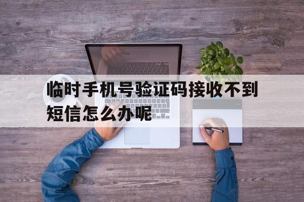 临时手机号验证码接收不到短信怎么办呢 临时手机号验证码接收不到短信怎么办呢