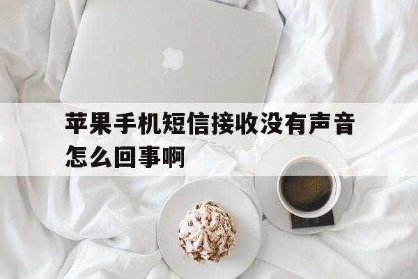 苹果手机短信接收没有声音怎么回事啊 苹果手机短信接收没有声音怎么回事啊