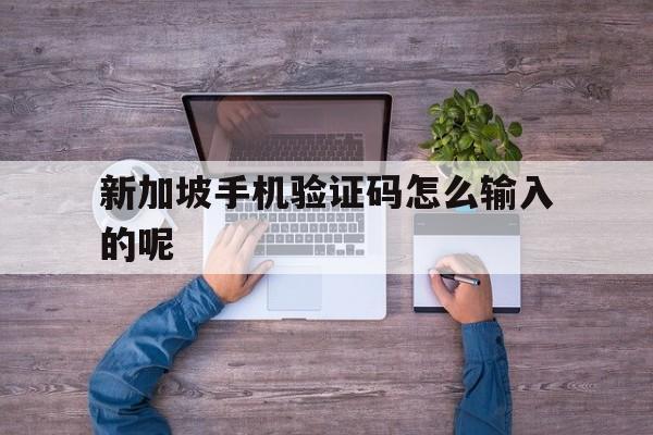 新加坡手机验证码怎么输入的呢 新加坡手机验证码怎么输入的呢