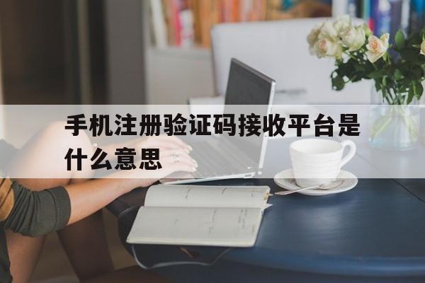 手机注册验证码接收平台是什么意思 手机注册验证码接收平台是什么意思