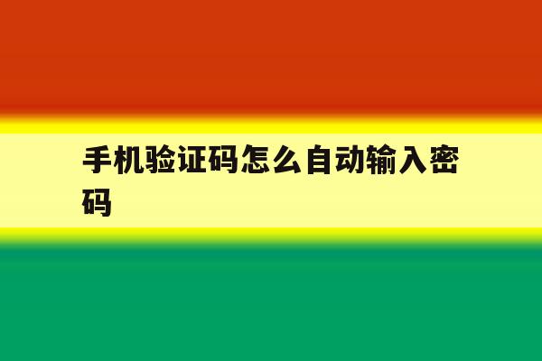 手机验证码怎么自动输入密码 手机验证码怎么自动输入密码
