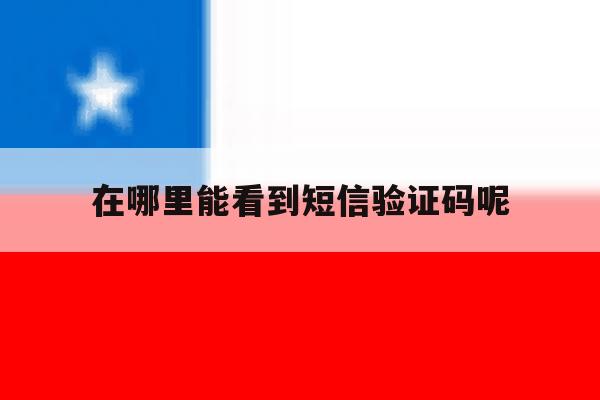 在哪里能看到短信验证码呢 在哪里能看到短信验证码呢