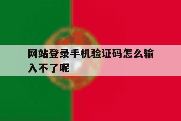 网站登录手机验证码怎么输入不了呢