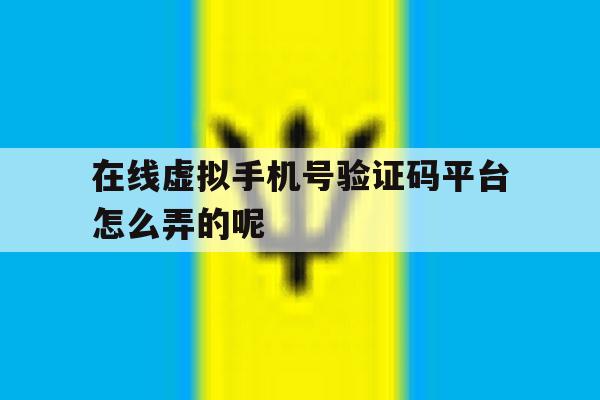 在线虚拟手机号验证码平台怎么弄的呢的简单介绍 在线虚拟手机号验证码平台怎么弄的呢的简单介绍