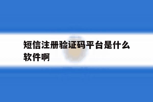 短信注册验证码平台是什么软件啊 短信注册验证码平台是什么软件啊