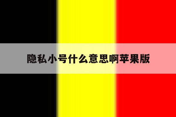 隐私小号什么意思啊苹果版 隐私小号什么意思啊苹果版