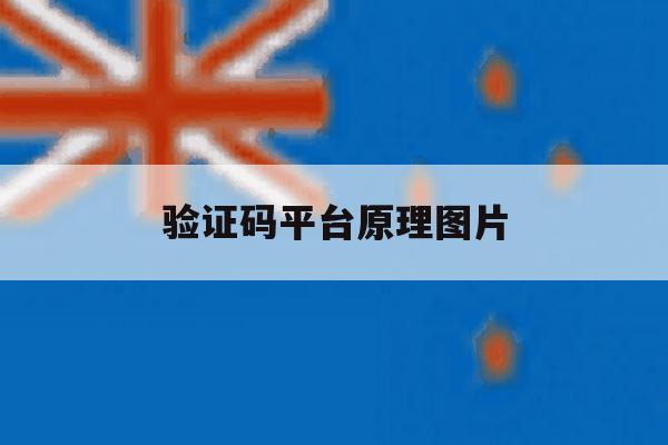 验证码平台原理图片 验证码平台原理图片