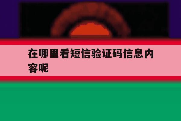 在哪里看短信验证码信息内容呢 在哪里看短信验证码信息内容呢