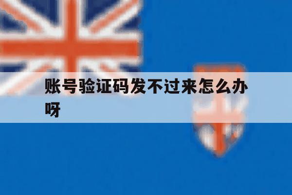 账号验证码发不过来怎么办呀 账号验证码发不过来怎么办呀