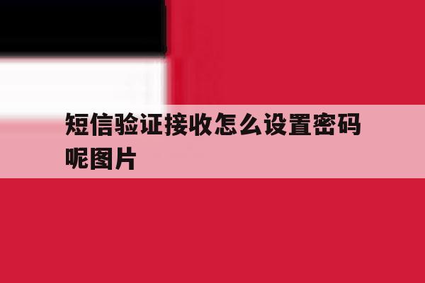 短信验证接收怎么设置密码呢图片 短信验证接收怎么设置密码呢图片
