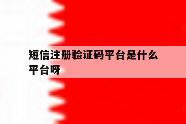 短信注册验证码平台是什么平台呀 短信注册验证码平台是什么平台呀