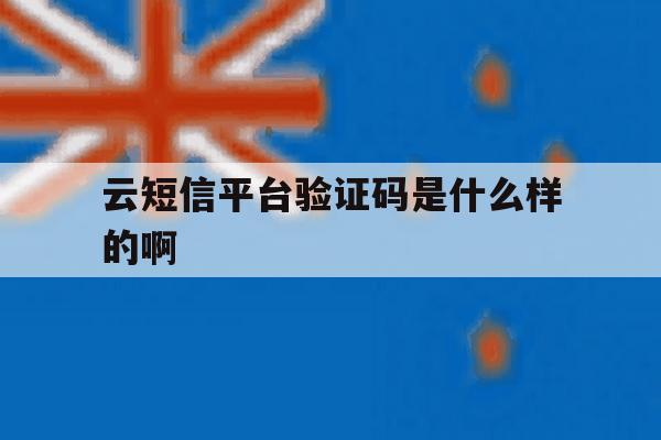 云短信平台验证码是什么样的啊 云短信平台验证码是什么样的啊