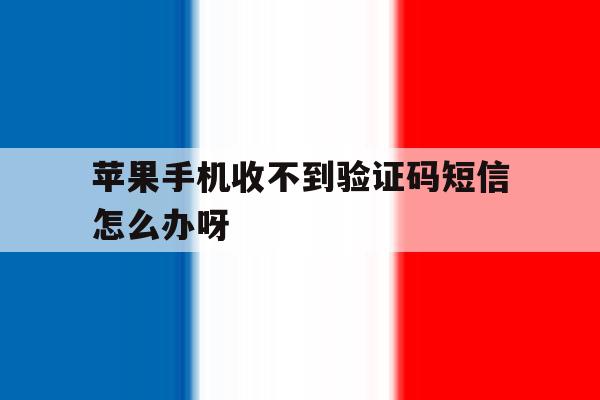 苹果手机收不到验证码短信怎么办呀 苹果手机收不到验证码短信怎么办呀