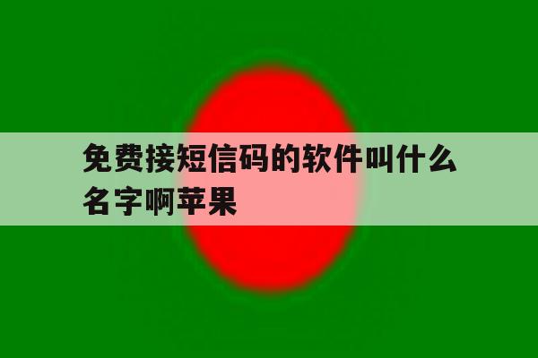 免费接短信码的软件叫什么名字啊苹果 免费接短信码的软件叫什么名字啊苹果