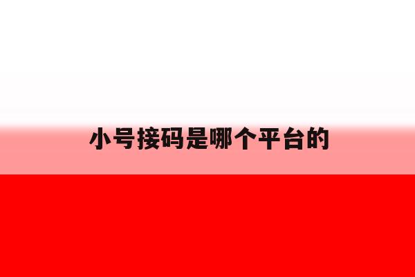 小号接码是哪个平台的 小号接码是哪个平台的