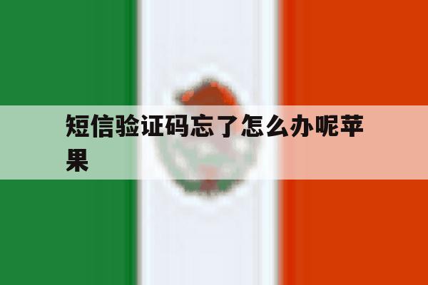 短信验证码忘了怎么办呢苹果 短信验证码忘了怎么办呢苹果